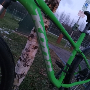 2022 Kona Mahuna Green