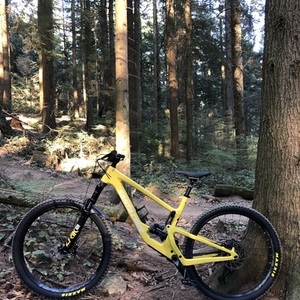 2022 Santa Cruz Megatower Yellow or Gold