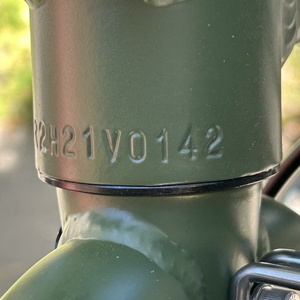 2022 Rad Power Bikes Radrunner 2 Green