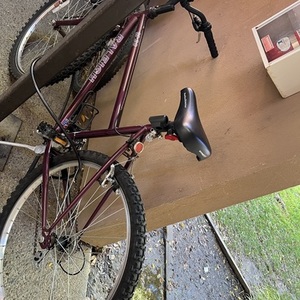 2005 Raleigh Tubing MaterialAtomic 13 aluminum Purple