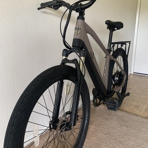 2022 Ride1Up Lmt'd Silver, gray or bare metal