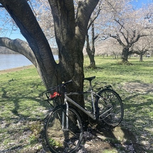 2008 Trek 7.2 FX Silver, gray or bare metal