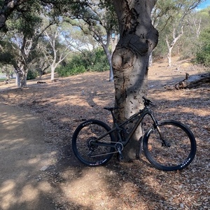 2022 Transition Bikes Spur Black