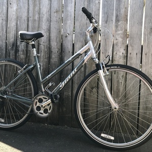 2001 Giant Cypress DX Silver, gray or bare metal