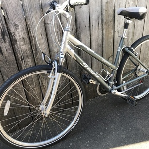 2001 Giant Cypress DX Silver, gray or bare metal