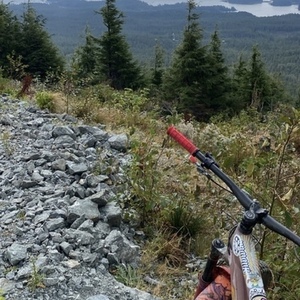 2020 Santa Cruz Bronson CC Red