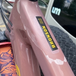 2020 Santa Cruz Bronson CC Red