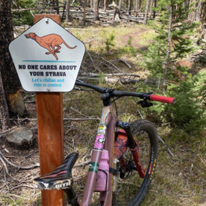 2020 Santa Cruz Bronson CC Red