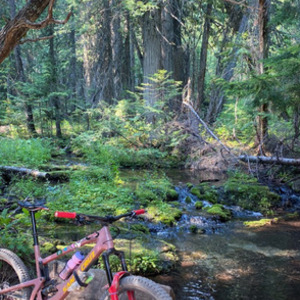 2020 Santa Cruz Bronson CC Red