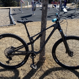 2022 Rocky Mountain Bicycles Element C50 Black