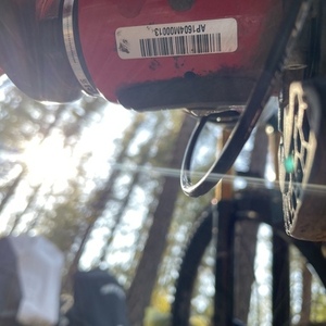 2016 YT Capra CF Pro Race Red and Black