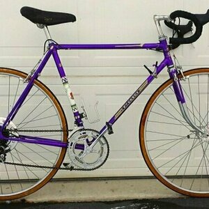 1970 Peugeot Purple Purple