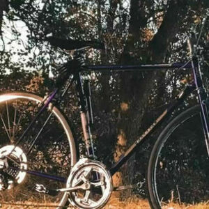 1970 Peugeot Purple Purple