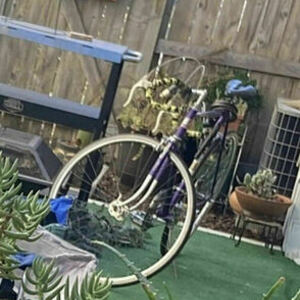 1970 Peugeot Purple Purple
