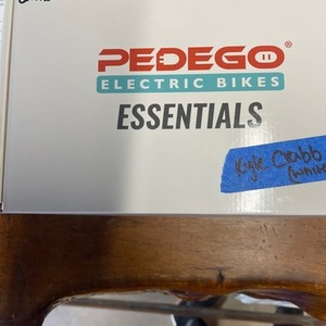 2021 Pedego Element White
