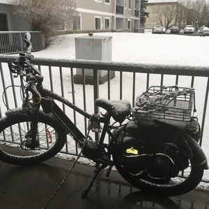 2020 Biktrix Jaquanaught Black