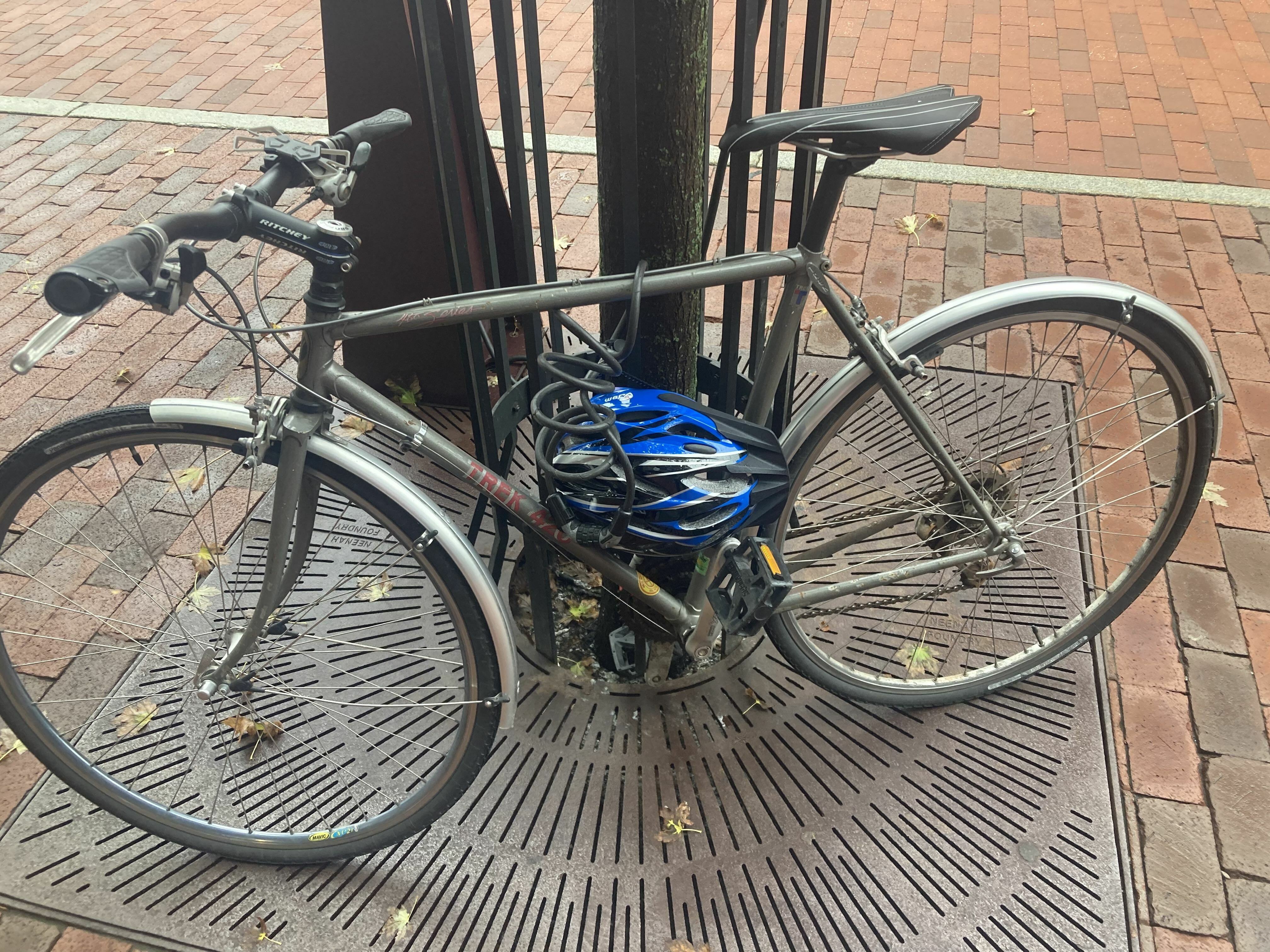 trek 420