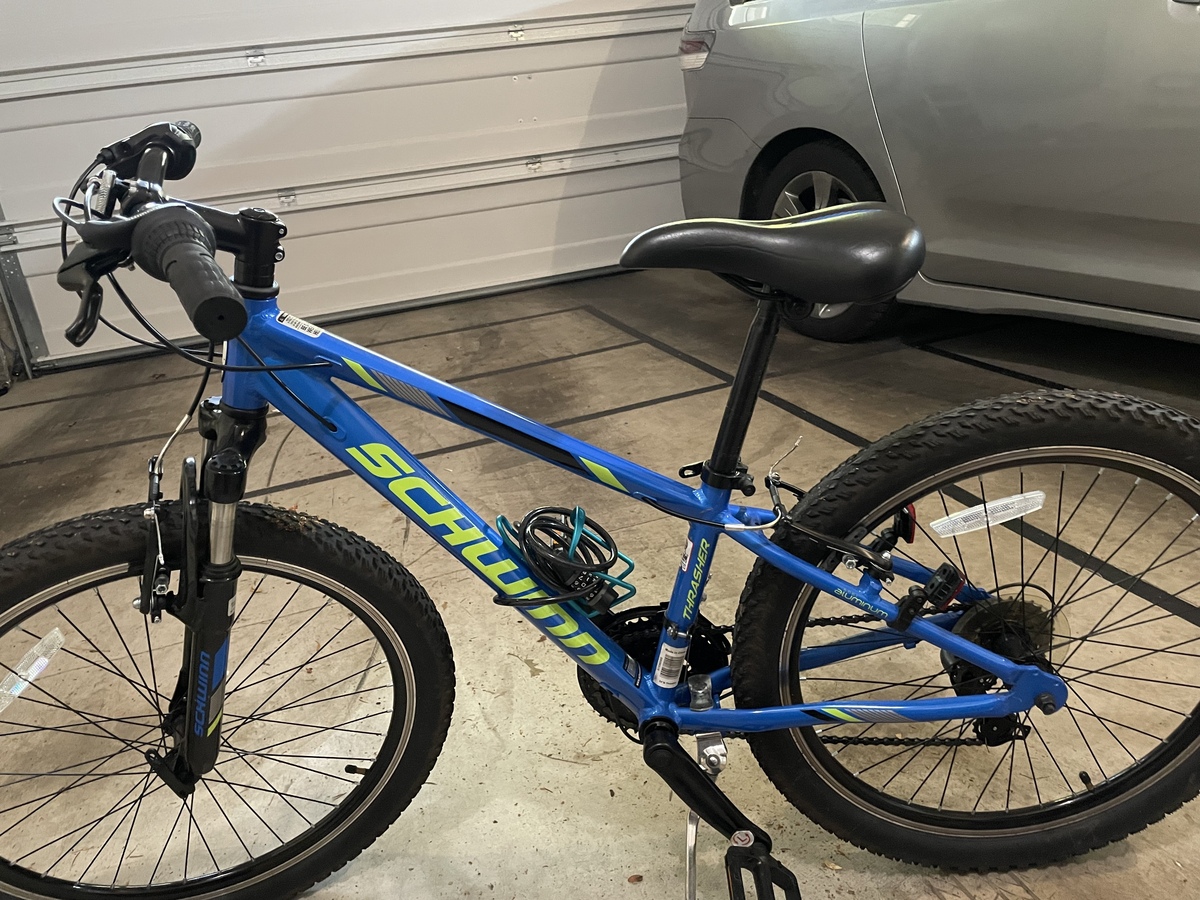 schwinn thrasher 20 bike