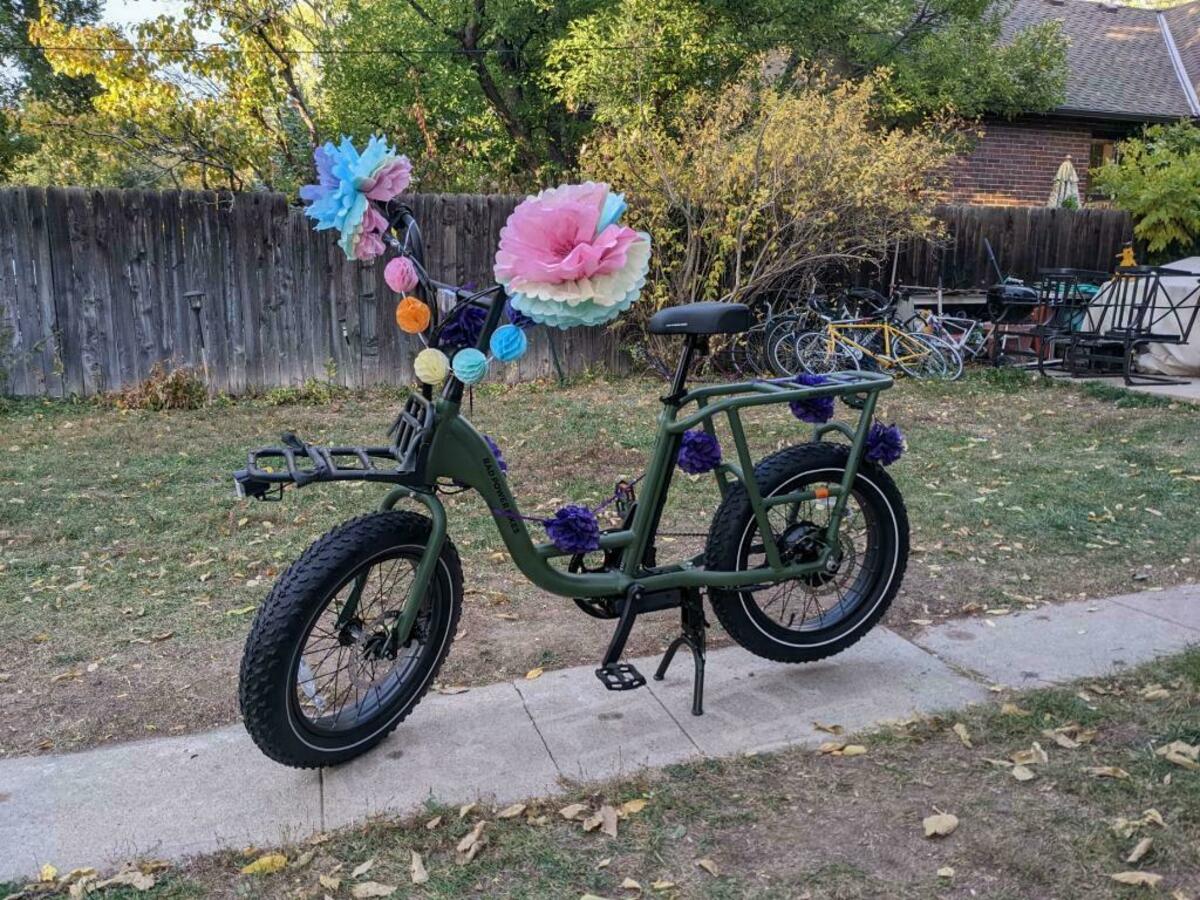 Cargo Bike Rear photo