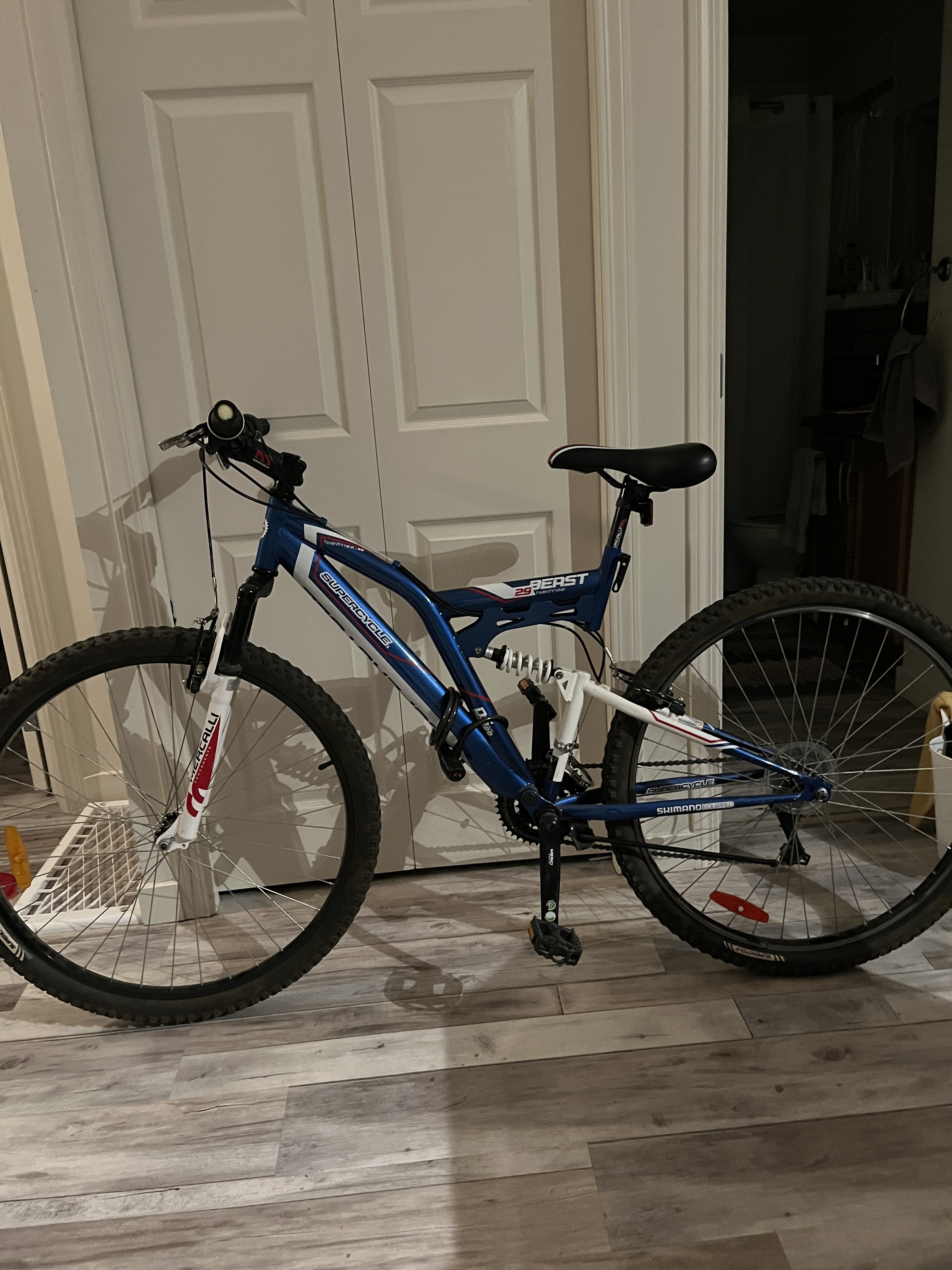 Supercycle Beast 29’