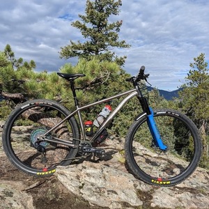 2022 Why Cycles El Jefe Silver, gray or bare metal