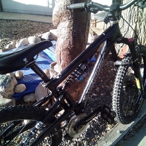 2007 Santa Cruz Black