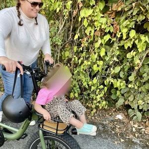 2022 Rad Power Bikes RadRunner V2 Green