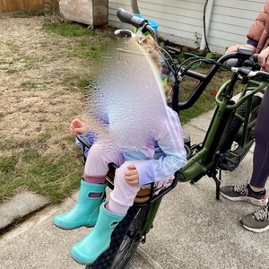 2022 Rad Power Bikes RadRunner V2 Green