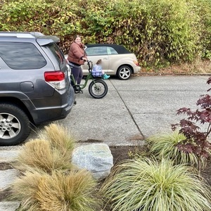 2022 Rad Power Bikes RadRunner V2 Green