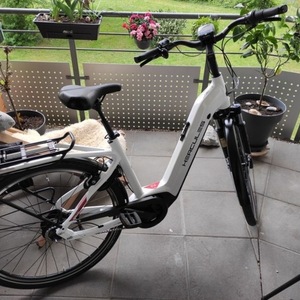 2021 HERCULES // Fahrräder &amp; E-Bikes Robert/-a Deluxe I-F8 White