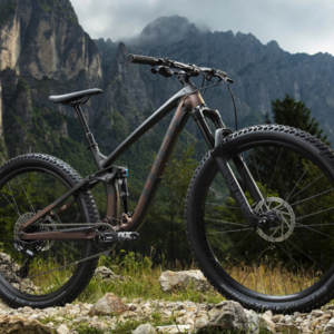 2020 Trek Fuel ex 7 Orange and Black