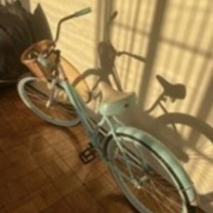 Schwinn Blue and White
