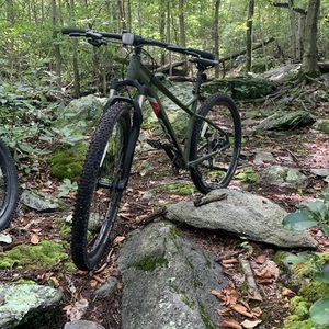 2018 Fuji Fuji A6-SL Green