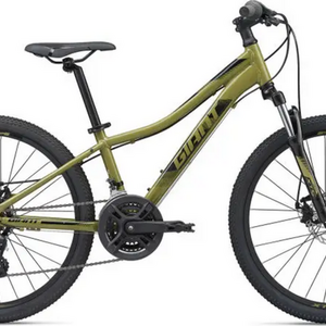 2020 Giant ALUXX-Grade Aluminum Green