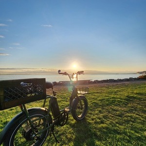 2021 Rad Power Bikes Rad Runner 1 Green