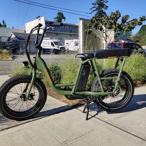 2021 Rad Power Bikes Rad Runner 1 Green
