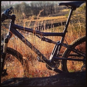 2008 Santa Cruz 2008 Blue