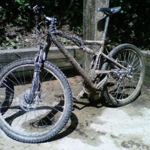 2008 Santa Cruz 2008 Blue