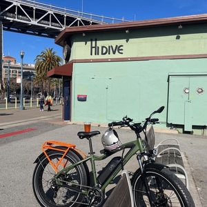2021 Rad Power Bikes RAD Rover 5 Green