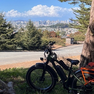 2021 Rad Power Bikes RAD Rover 5 Green