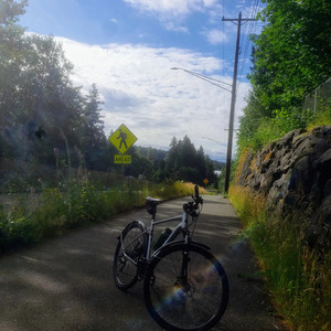 2018 Marin Bikes unknown Silver, gray or bare metal