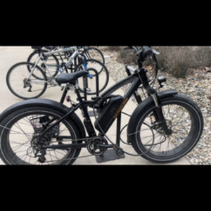 Rad Power Bikes RadRover Black