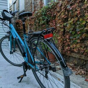 2015 Giant Alight Teal