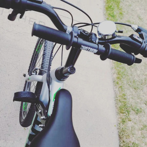 2019 Giant Sedona Men's Silver, gray or bare metal