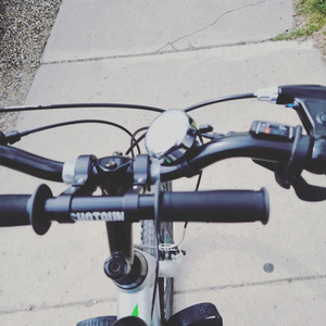 2019 Giant Sedona Men's Silver, gray or bare metal
