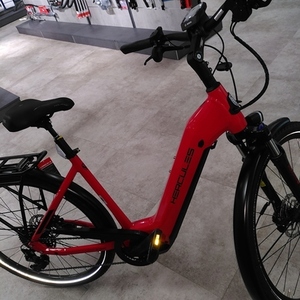 HERCULES // Fahrräder &amp; E-Bikes Futura Sport I-10 Red