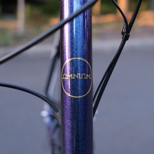 2022 Omnium Cargo V3 Purple