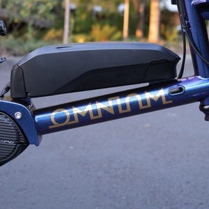 2022 Omnium Cargo V3 Purple