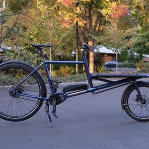 2022 Omnium Cargo V3 Purple