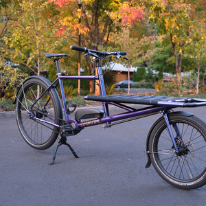 2022 Omnium Cargo V3 Purple